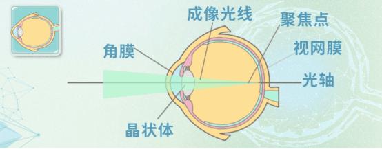 第二类创新医疗器械｜超亚眼部远红外热疗贴正式上市